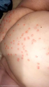 16273441