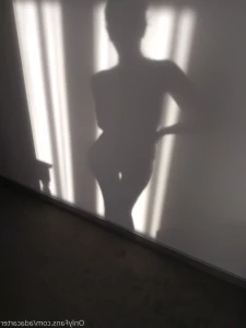 15704882