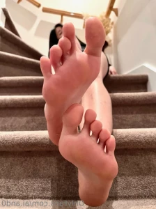 14091647