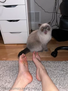 14298971