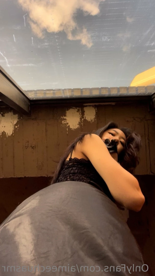 Aimee Chu [ aimeechuasmr ] Onlyfans leaked photo 12124357 on Hotleaks.tv