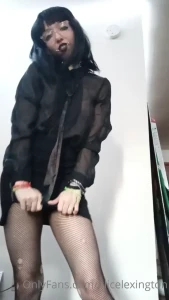 16086732