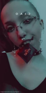 16224023
