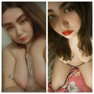 16006733