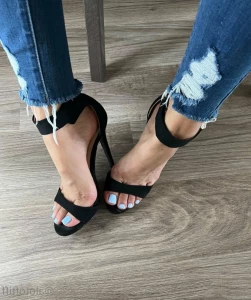 16085646