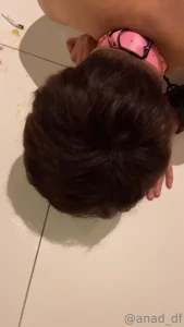 15078287