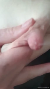 15605240