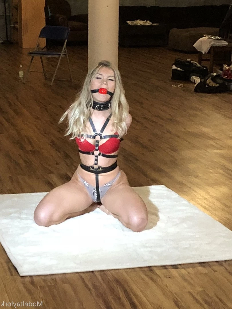 ✨Modeltaylork ✨ [ mostlybun ] Onlyfans leaked photo 844944 on Hotleaks.tv