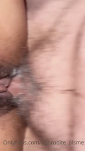 15113537