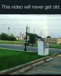 16037138