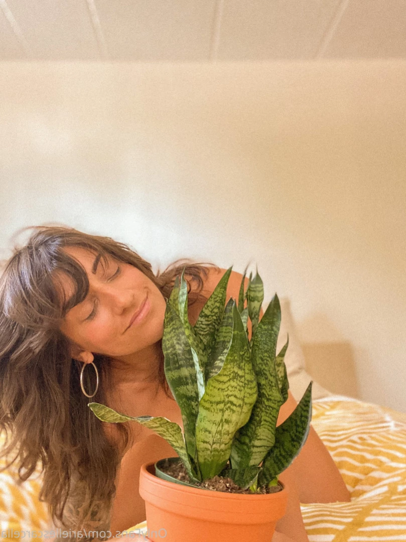 Arielle Scarcella [ ariellescarcella ] Onlyfans leaked photo 11639058 on Hotleaks.tv