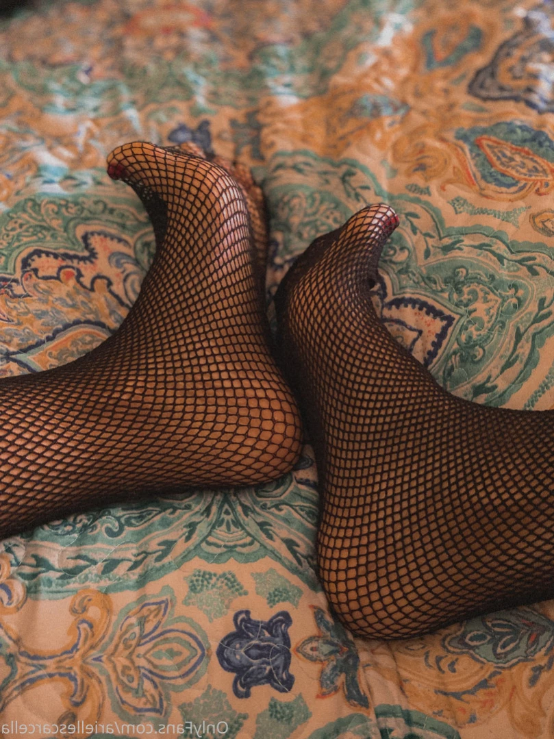 Arielle Scarcella [ ariellescarcella ] Onlyfans leaked photo 13119006 on Hotleaks.tv