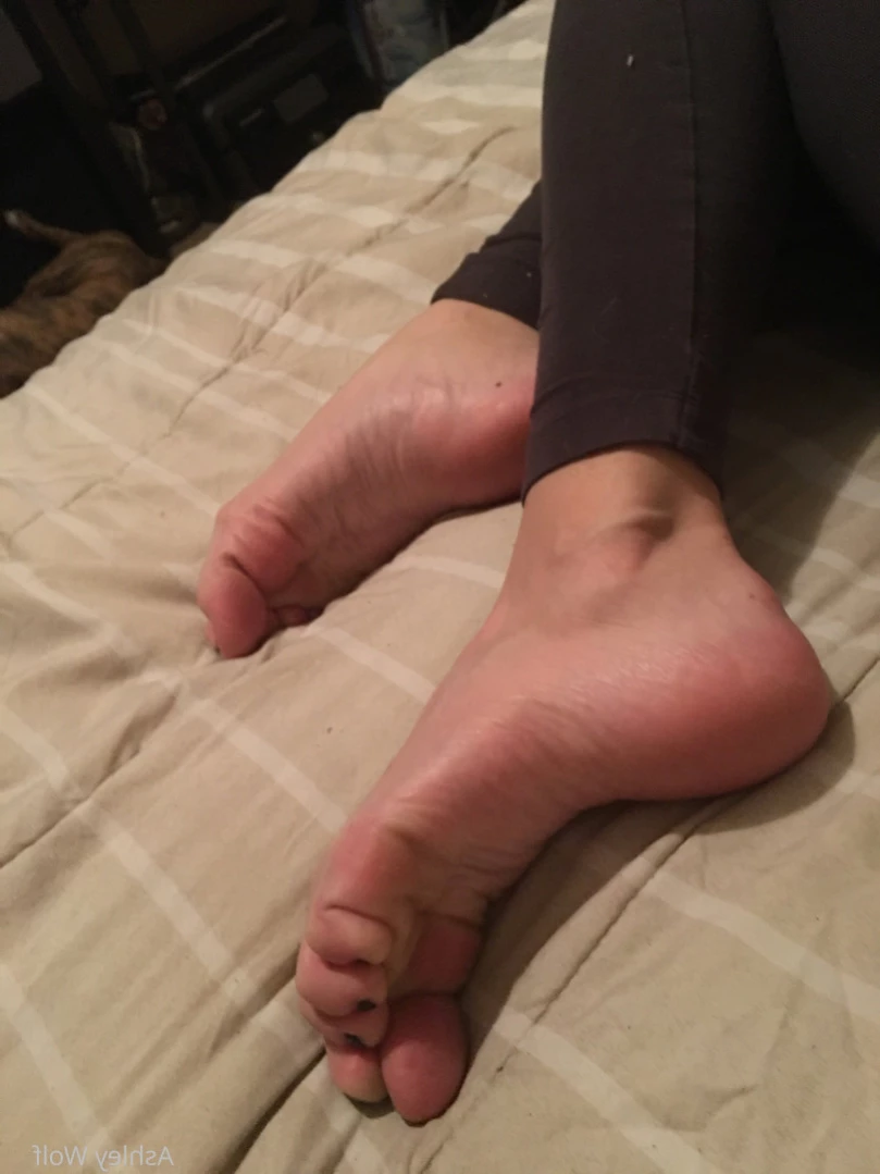 Ashley Wolf [ ash_wolf_ ] Onlyfans leaked photo 11674957 on Hotleaks.tv