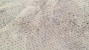 Ashley Wolf [ ash_wolf_ ] Onlyfans leaked video 15156513 on Hotleaks.tv