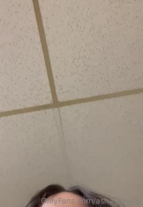 15687019