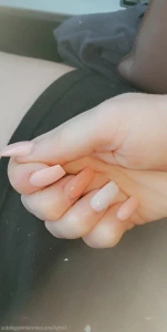 15206807