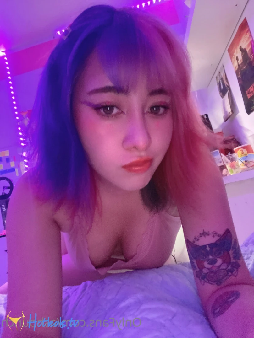 Ashounch ヽ(”`▽´)ﾉ [ ashounch ] Onlyfans leaked photo 14331726 on Hotleaks.tv