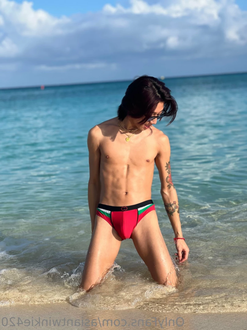 asiantwinkie [ asiantwinkie420 ] Onlyfans leaked photo 11643719 on Hotleaks.tv