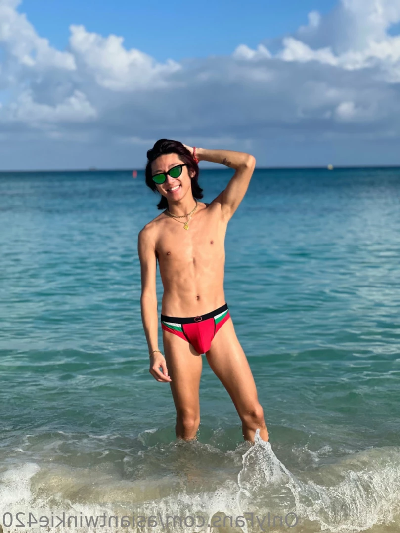 asiantwinkie [ asiantwinkie420 ] Onlyfans leaked photo 11754170 on Hotleaks.tv