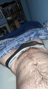 15456039