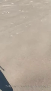 12328727