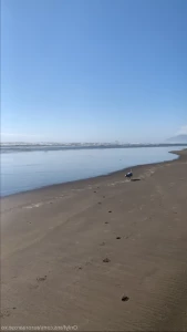 14307728