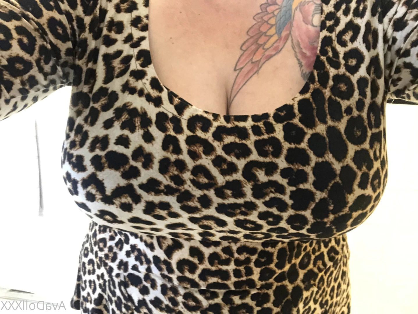 AvaDollXXX Top 4.5% [ avadollxxx ] Onlyfans leaked photo 11736710 on Hotleaks.tv