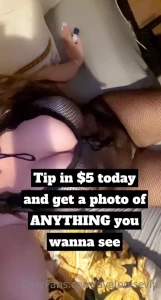 15736527