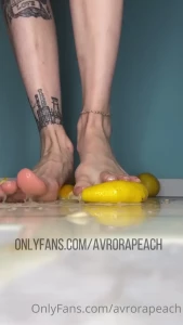 16021664