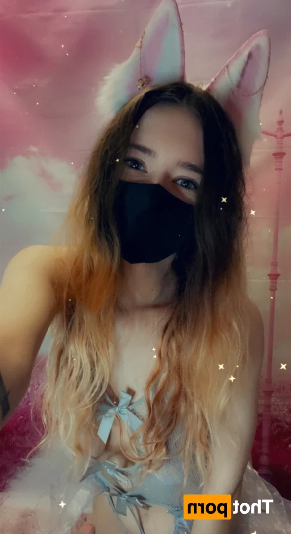 Akita - Cat Lady [ b-kitty ] Onlyfans leaked photo 11042690 on Hotleaks.tv