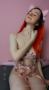 11618564