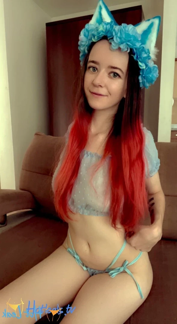 Akita - Cat Lady [ b-kitty ] Onlyfans leaked photo 11980756 on Hotleaks.tv