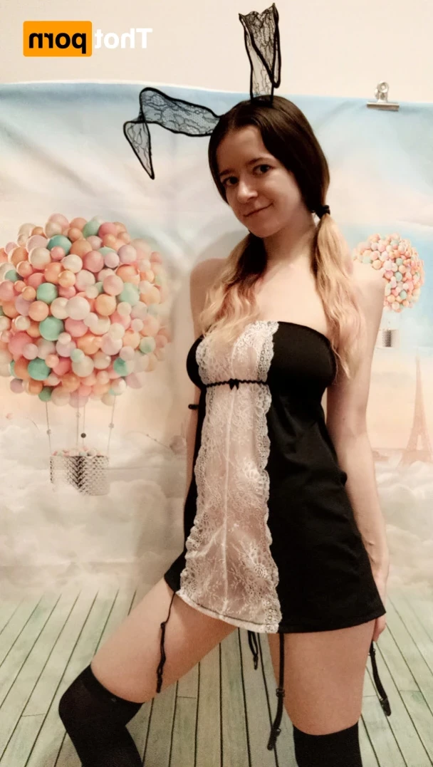 Akita - Cat Lady [ b-kitty ] Onlyfans leaked photo 12313353 on Hotleaks.tv