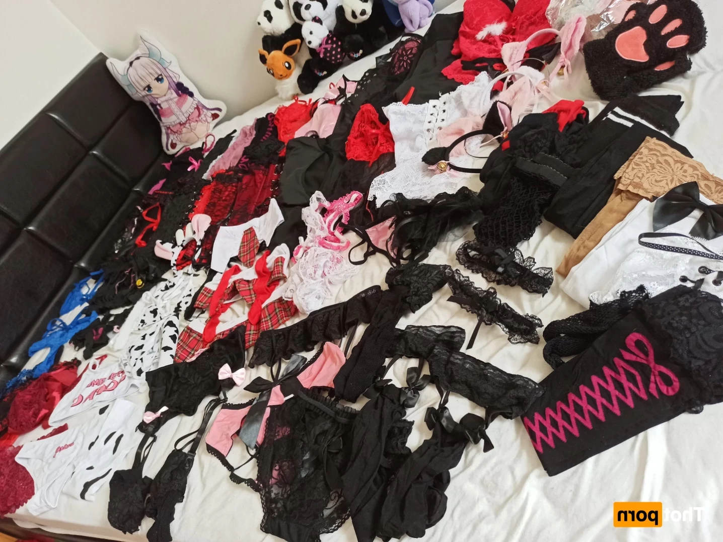 Akita - Cat Lady [ b-kitty ] Onlyfans leaked photo 13844727 on Hotleaks.tv