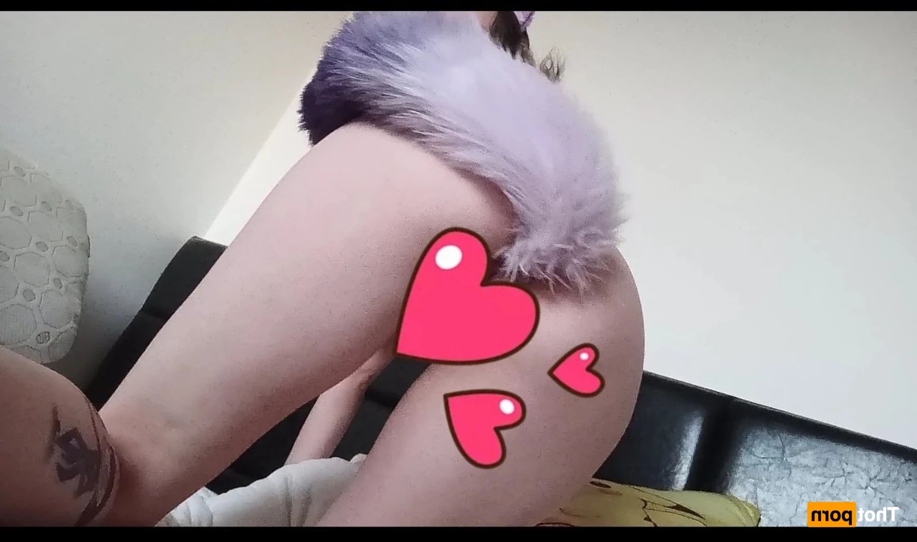 Akita - Cat Lady [ b-kitty ] Onlyfans leaked photo 15242129 on Hotleaks.tv