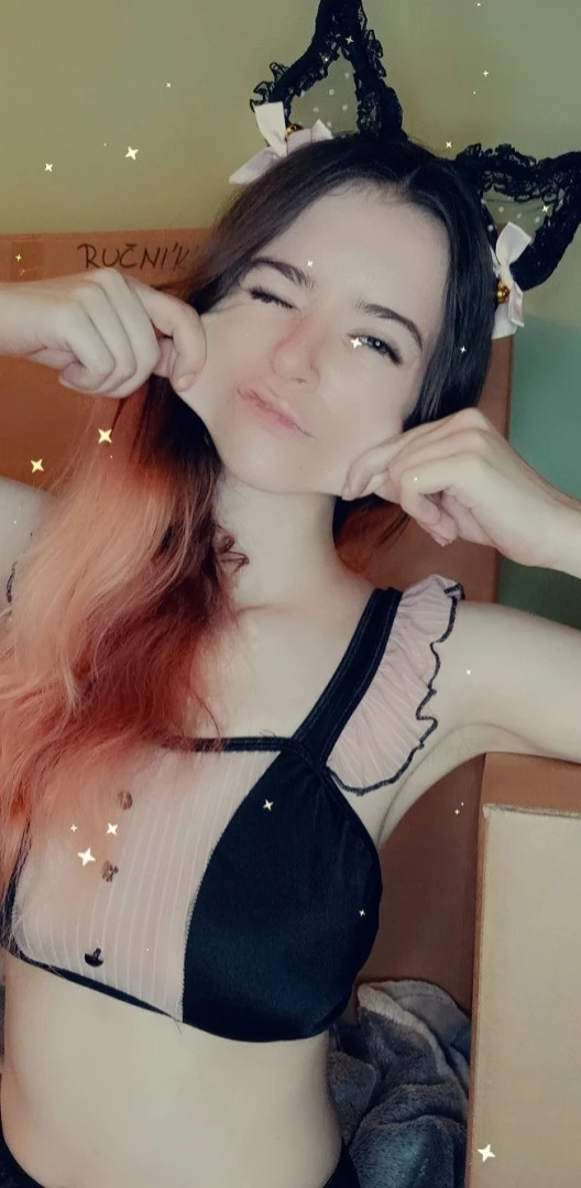 Akita - Cat Lady [ b-kitty ] Onlyfans leaked photo 15524640 on Hotleaks.tv