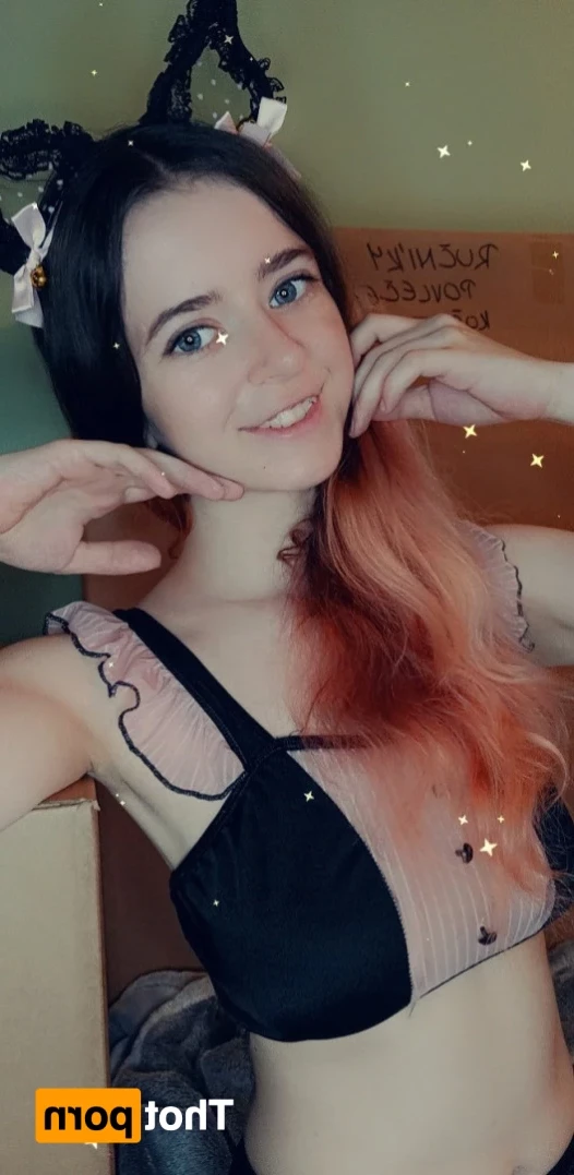 Akita - Cat Lady [ b-kitty ] Onlyfans leaked photo 15561699 on Hotleaks.tv