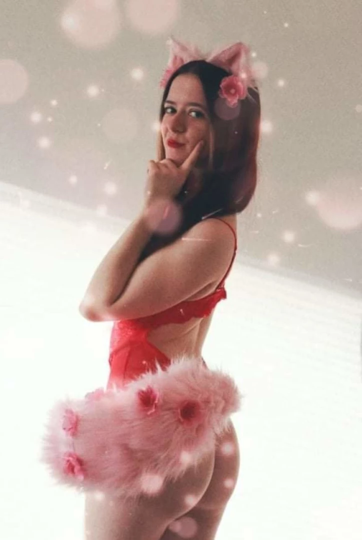 Akita - Cat Lady [ b-kitty ] Onlyfans leaked photo 15640309 on Hotleaks.tv