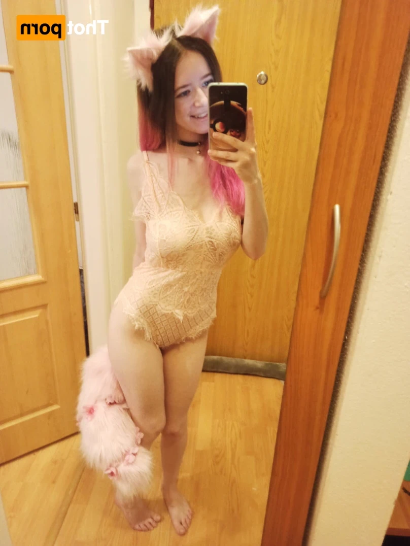 Akita - Cat Lady [ b-kitty ] Onlyfans leaked photo 15640398 on Hotleaks.tv