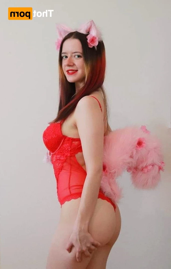 Akita - Cat Lady [ b-kitty ] Onlyfans leaked photo 15640452 on Hotleaks.tv