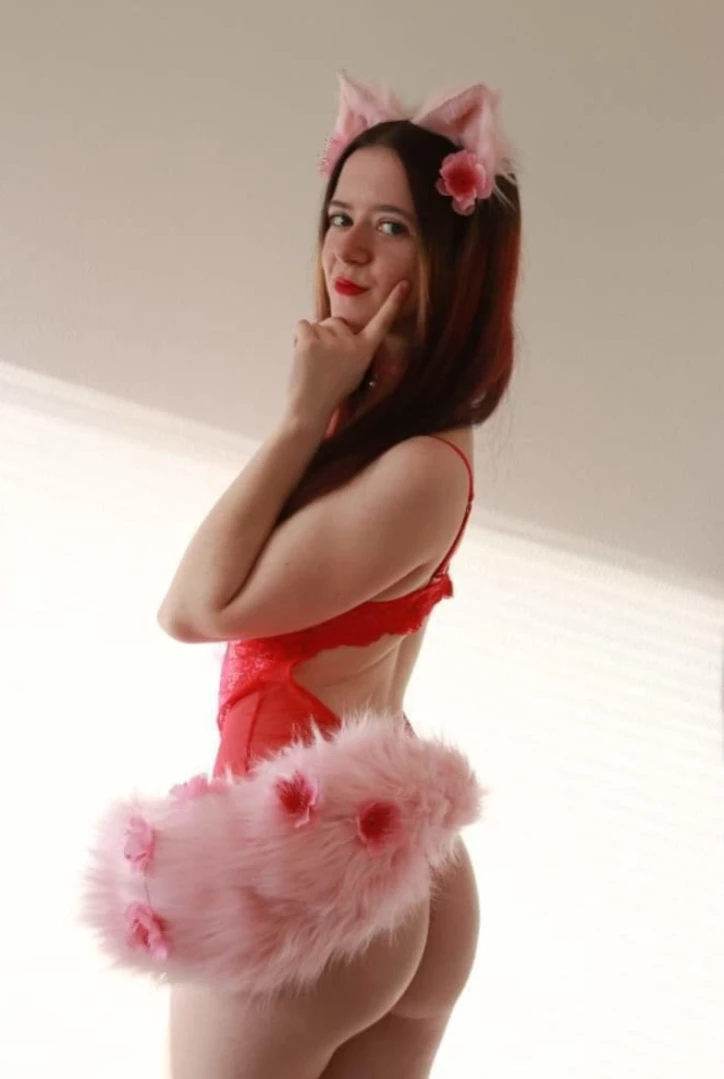 Akita - Cat Lady [ b-kitty ] Onlyfans leaked photo 15643593 on Hotleaks.tv