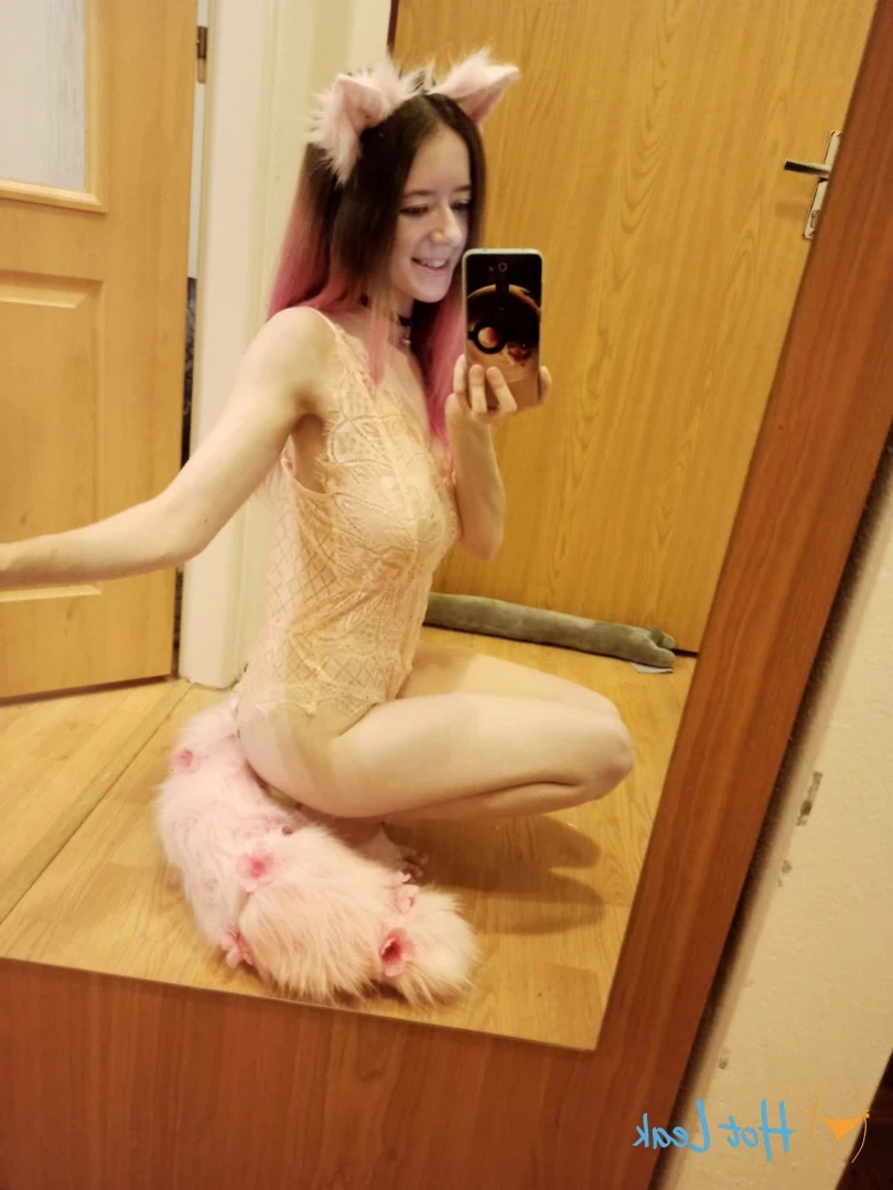 Akita - Cat Lady [ b-kitty ] Onlyfans leaked photo 15643689 on Hotleaks.tv
