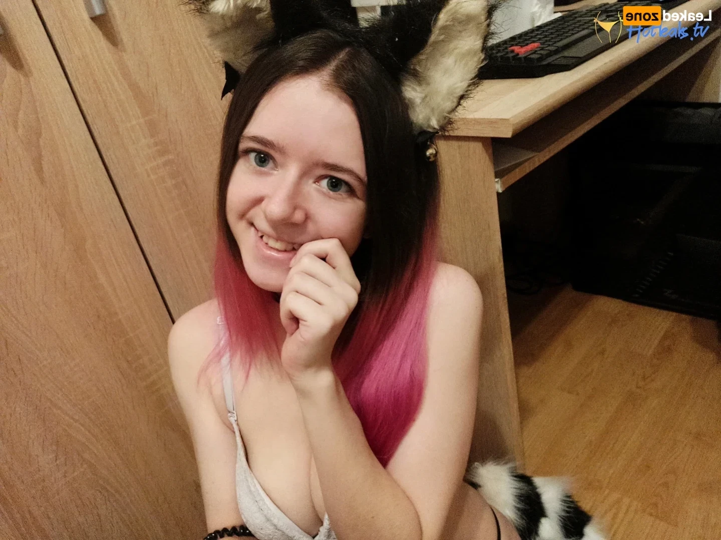 Akita - Cat Lady [ b-kitty ] Onlyfans leaked photo 15643845 on Hotleaks.tv
