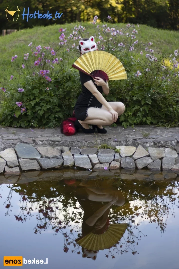 Akita - Cat Lady [ b-kitty ] Onlyfans leaked photo 15666710 on Hotleaks.tv