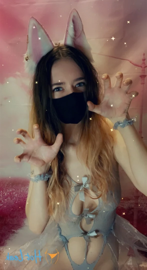Akita - Cat Lady [ b-kitty ] Onlyfans leaked photo 15876324 on Hotleaks.tv