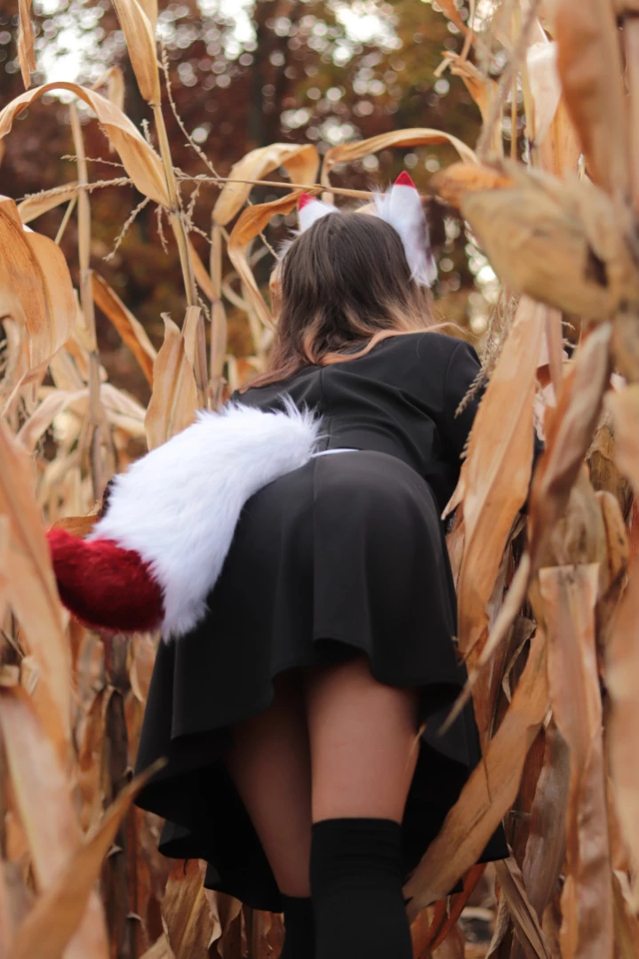 Akita - Cat Lady [ b-kitty ] Onlyfans leaked photo 15988379 on Hotleaks.tv