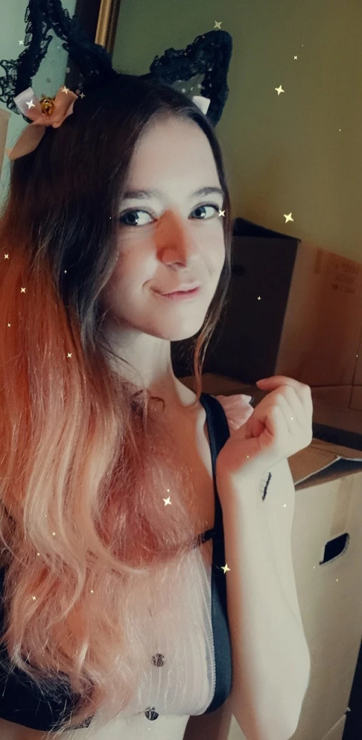 Akita - Cat Lady [ b-kitty ] Onlyfans leaked photo 16060372 on Hotleaks.tv