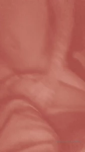 1665582