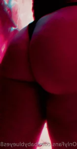 13636899