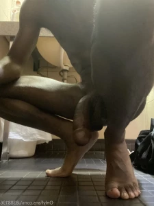 14187367